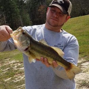 Meet your Posher, Robby